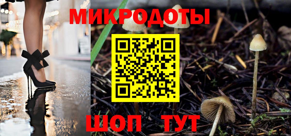 Псилоцибиновые грибы Psilocybe Комсомольск-на-Амуре
